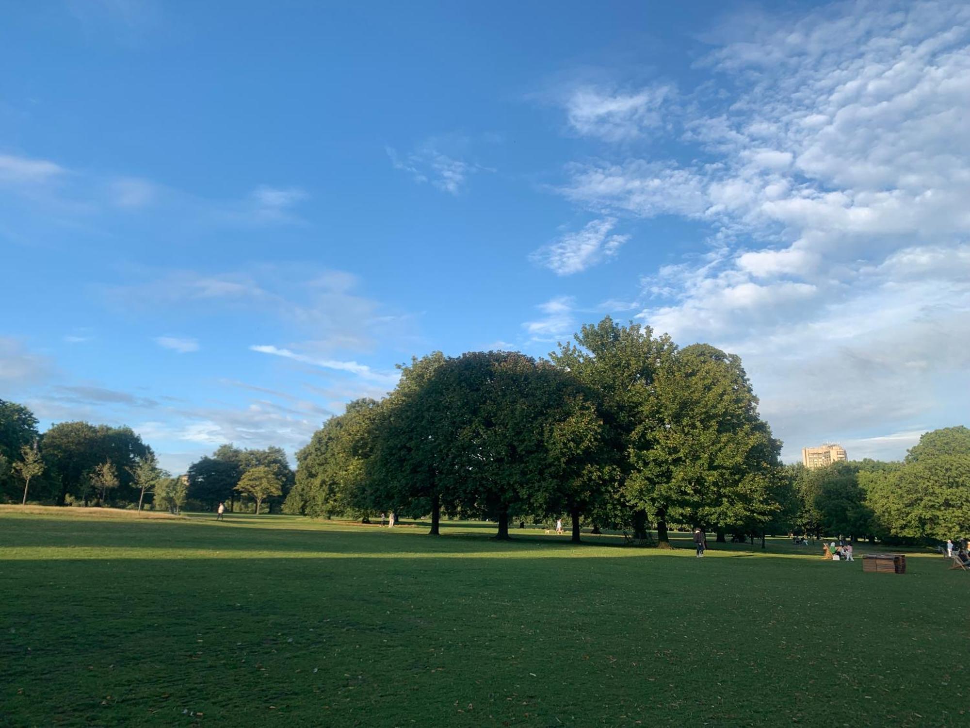 شقة North Acton Flat لندن المظهر الخارجي الصورة